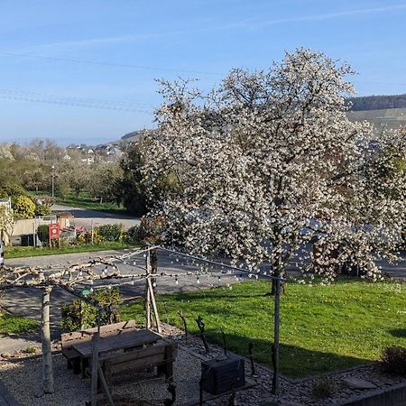 Weingut Harald Ludwig Apartment Osann-Monzel Bagian luar foto