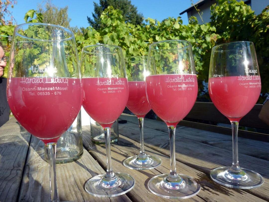 Weingut Harald Ludwig Apartment Osann-Monzel Bagian luar foto