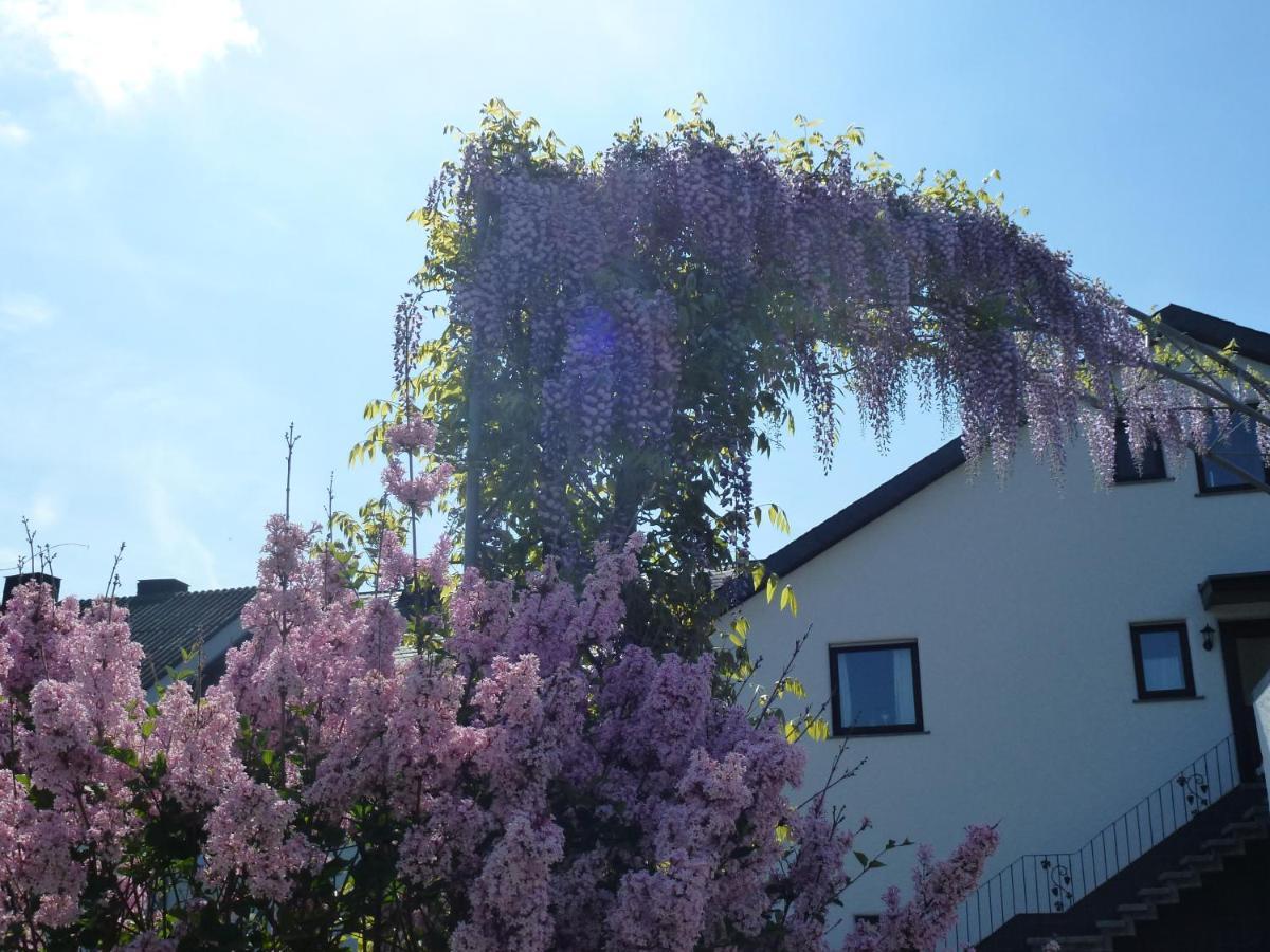 Weingut Harald Ludwig Apartment Osann-Monzel Bagian luar foto