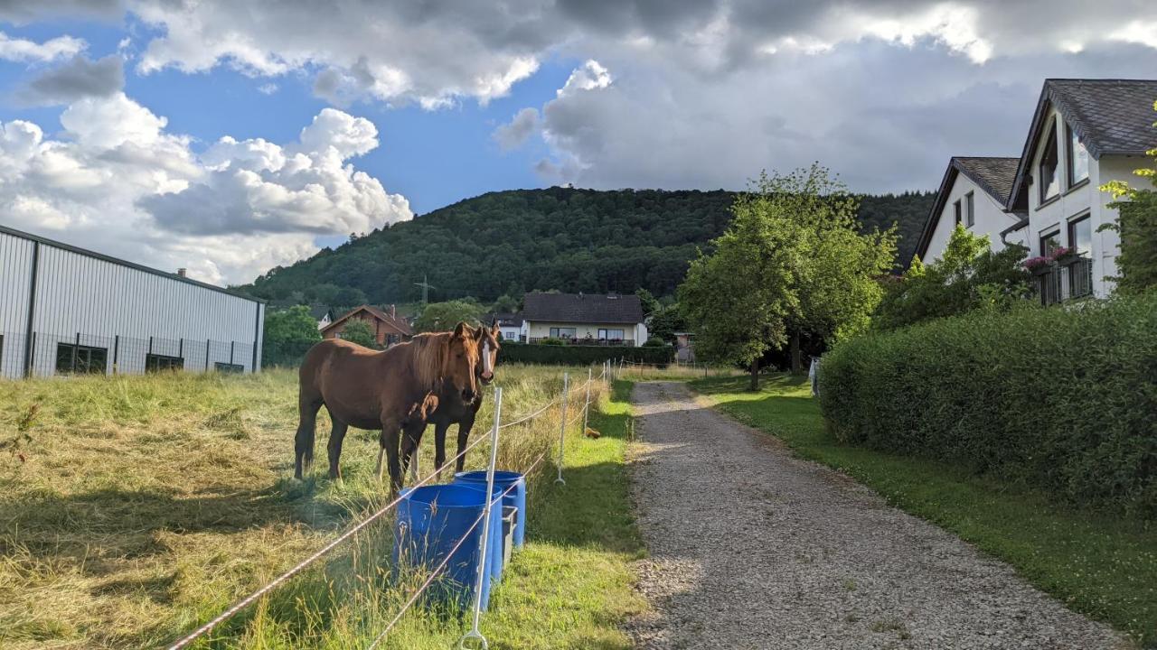 Weingut Harald Ludwig Apartment Osann-Monzel Bagian luar foto