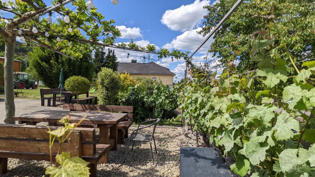 Weingut Harald Ludwig Apartment Osann-Monzel Bagian luar foto