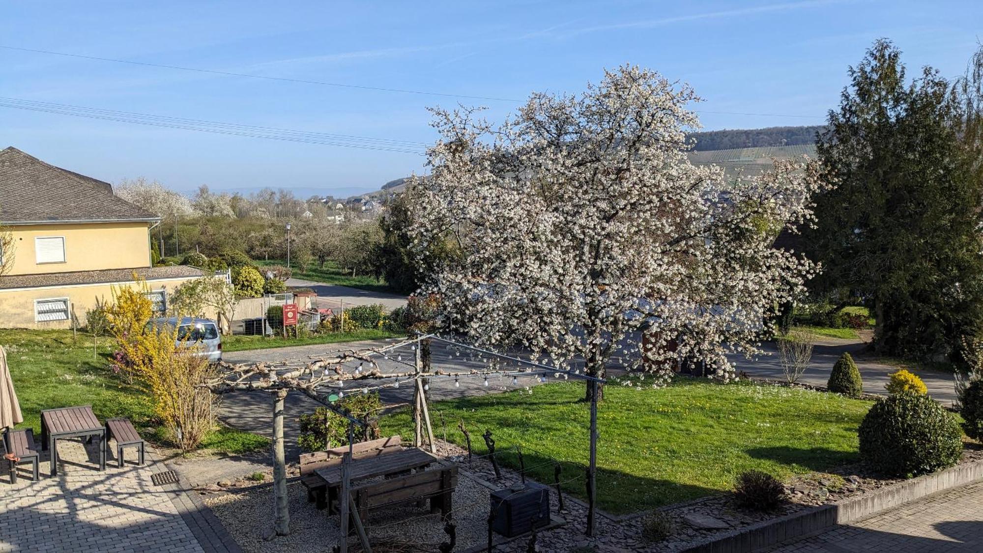Weingut Harald Ludwig Apartment Osann-Monzel Bagian luar foto